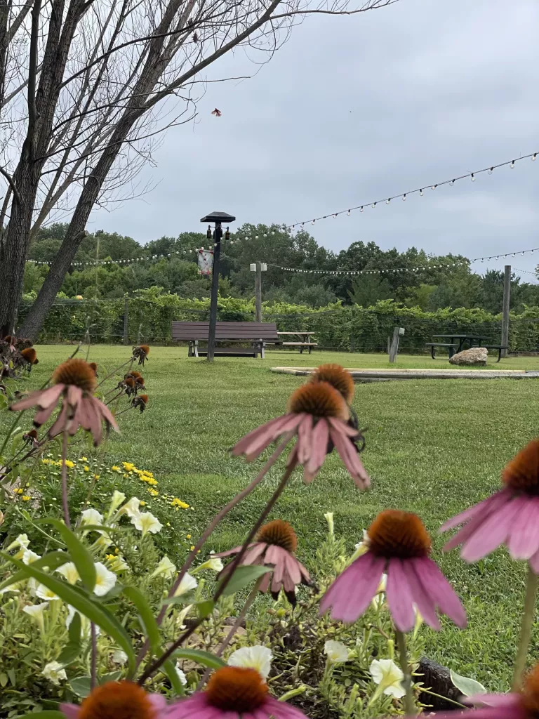 Owen Valley Winery grounds