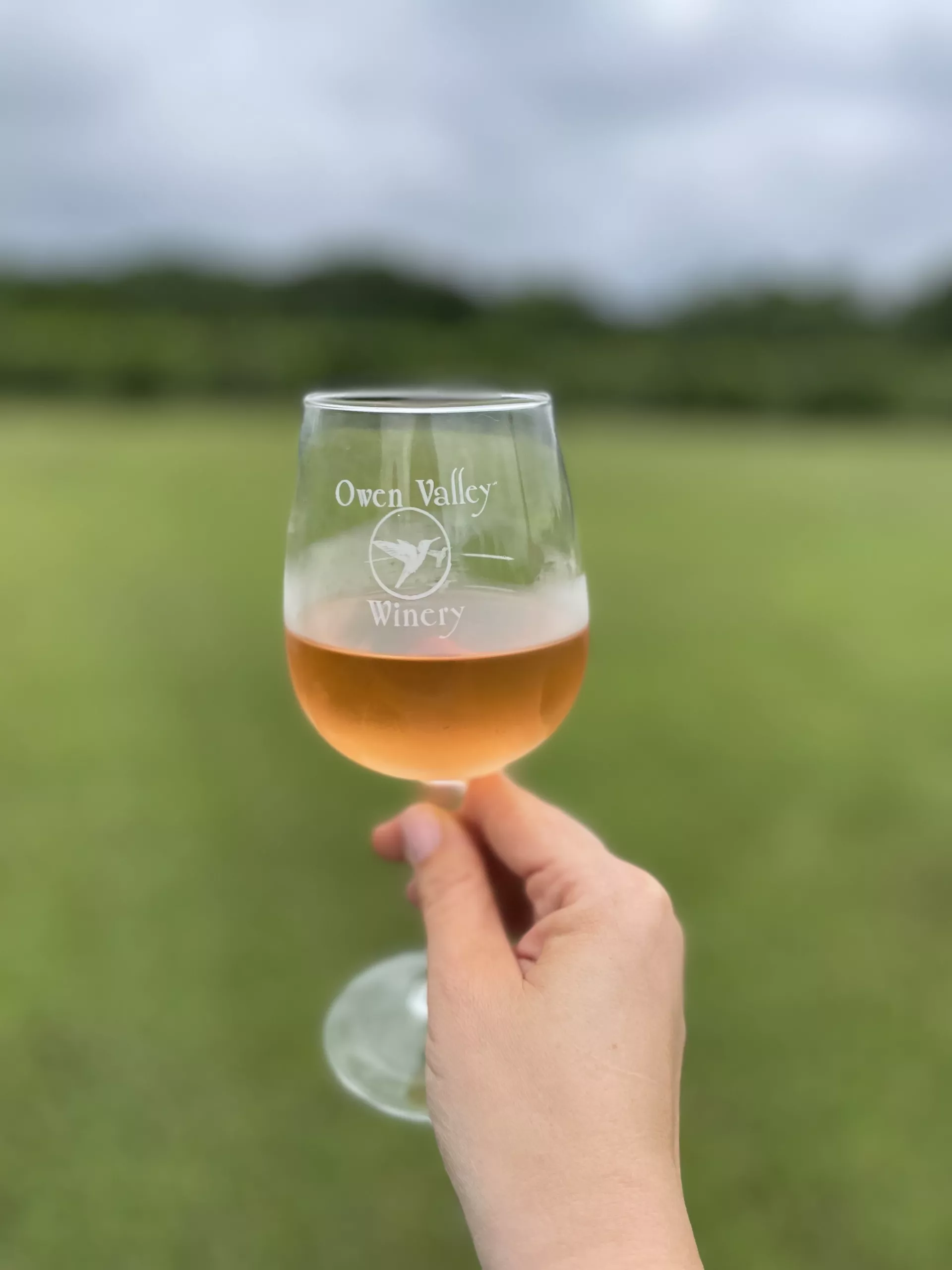 Owen Valley Winery